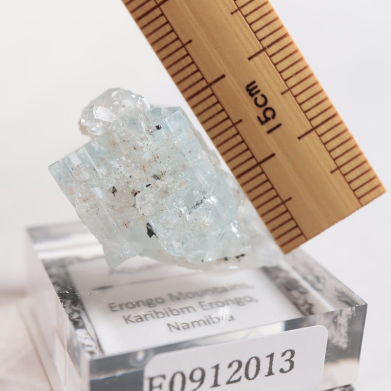 �����󥴹ۻ��� �������ޥ��