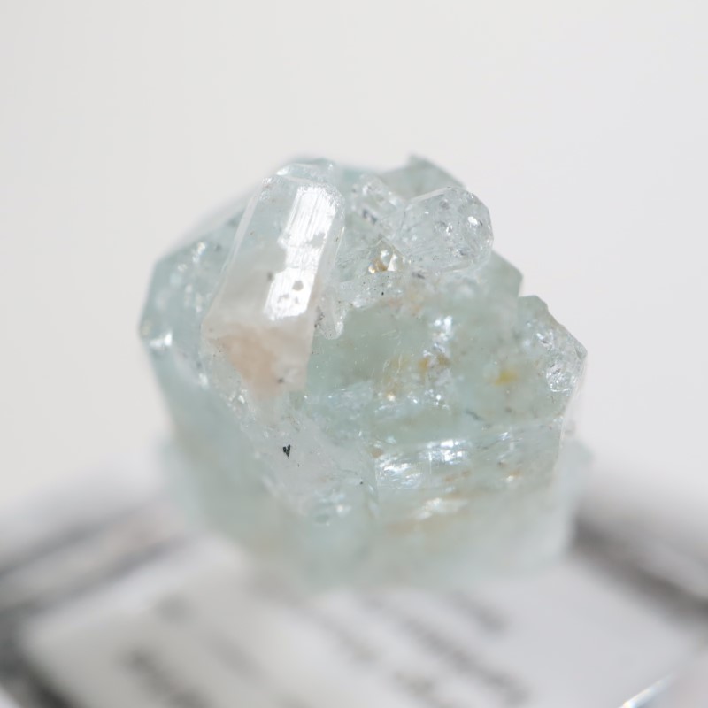 �����󥴹ۻ��� �������ޥ��