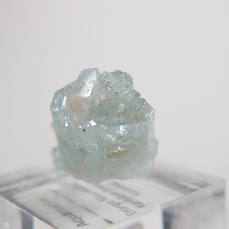 �����󥴹ۻ��� �������ޥ��