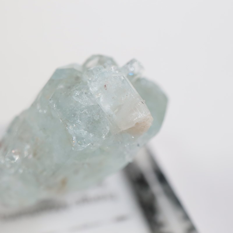 �����󥴹ۻ��� �������ޥ��