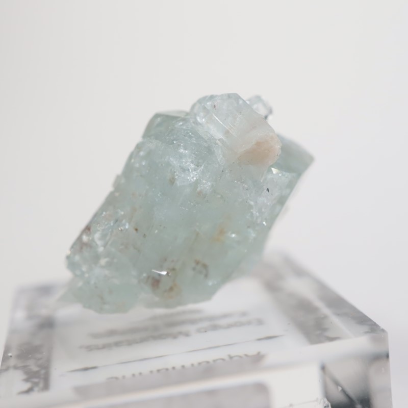 �����󥴹ۻ��� �������ޥ��