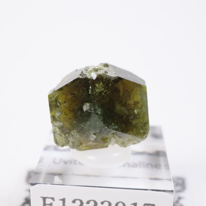 �֥饸�뻺 ���Х��ȥȥ�ޥ��