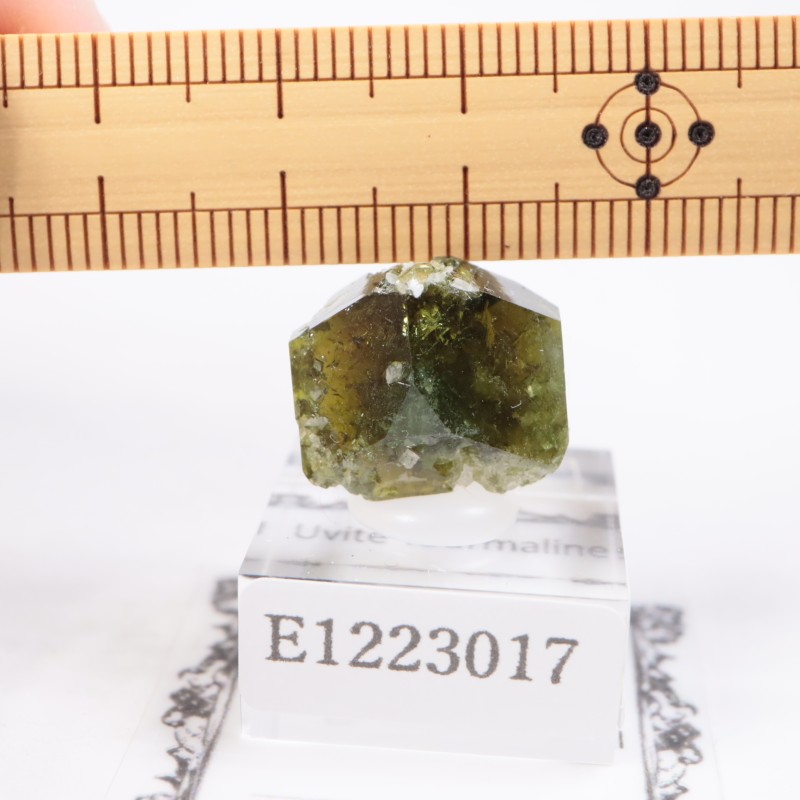 �֥饸�뻺 ���Х��ȥȥ�ޥ��