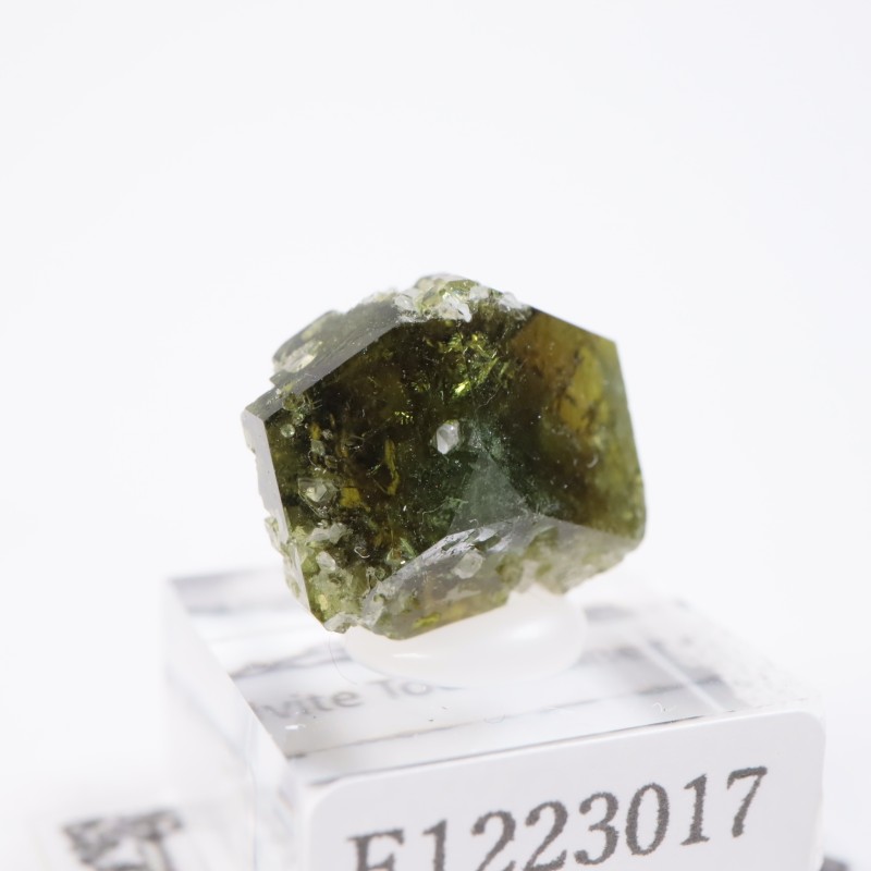 �֥饸�뻺 ���Х��ȥȥ�ޥ��