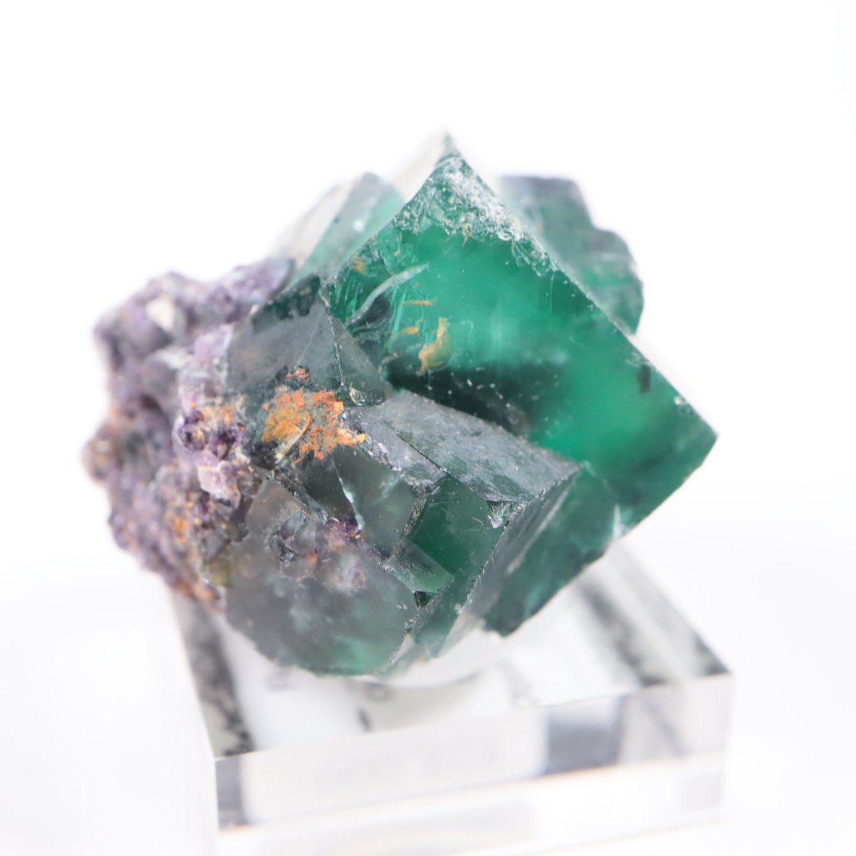 �����륹�ۻ��� �ե����饤��