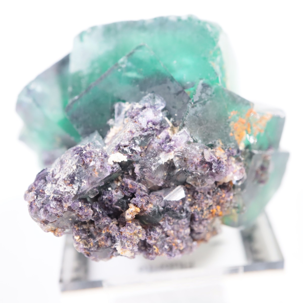 �����륹�ۻ��� �ե����饤��