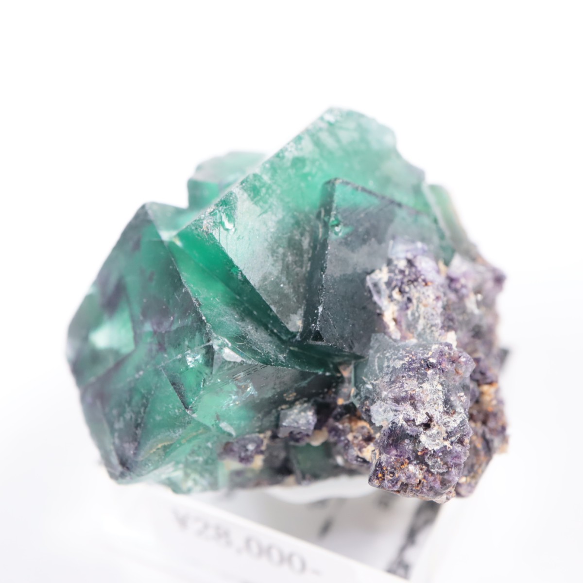 �����륹�ۻ��� �ե����饤��