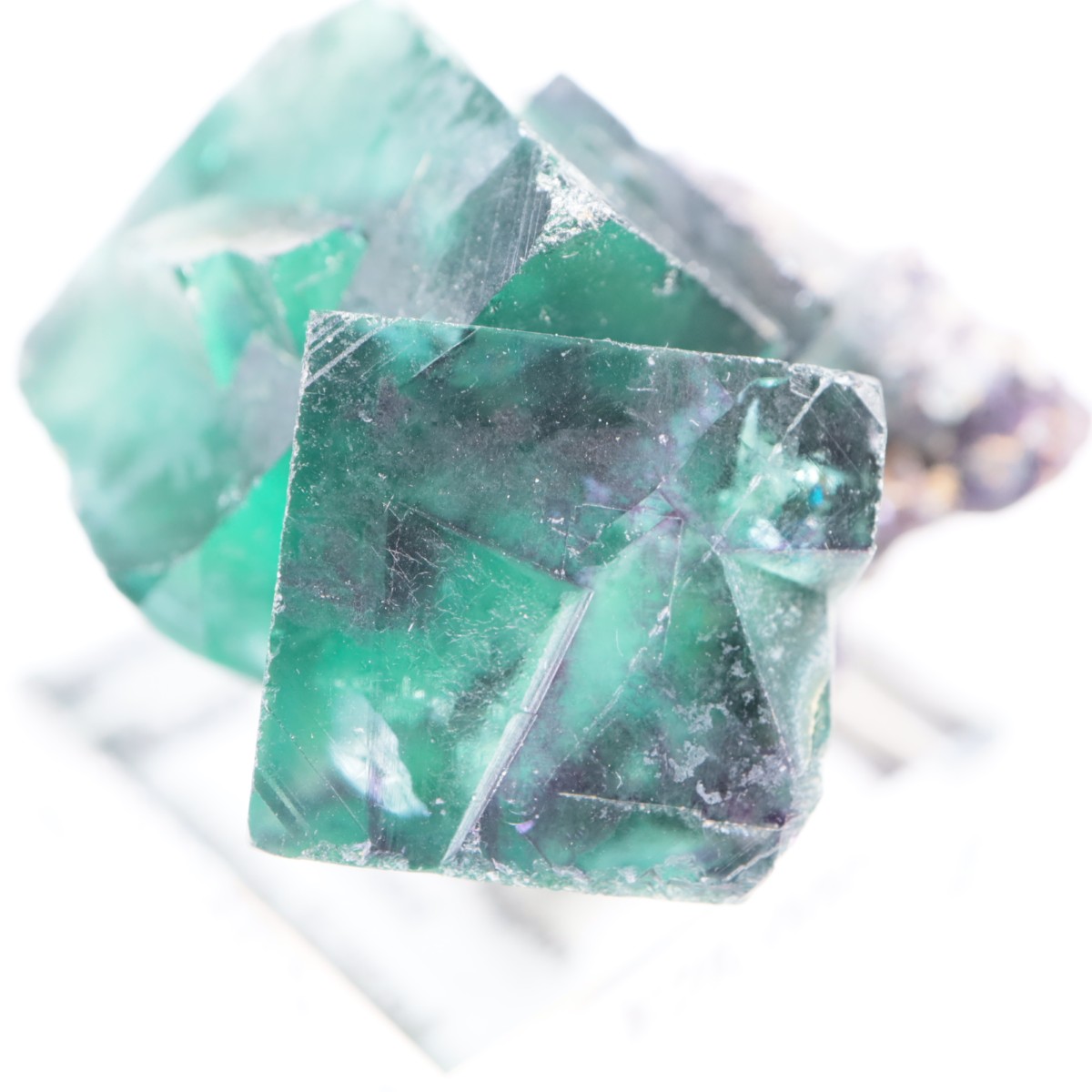 �����륹�ۻ��� �ե����饤��