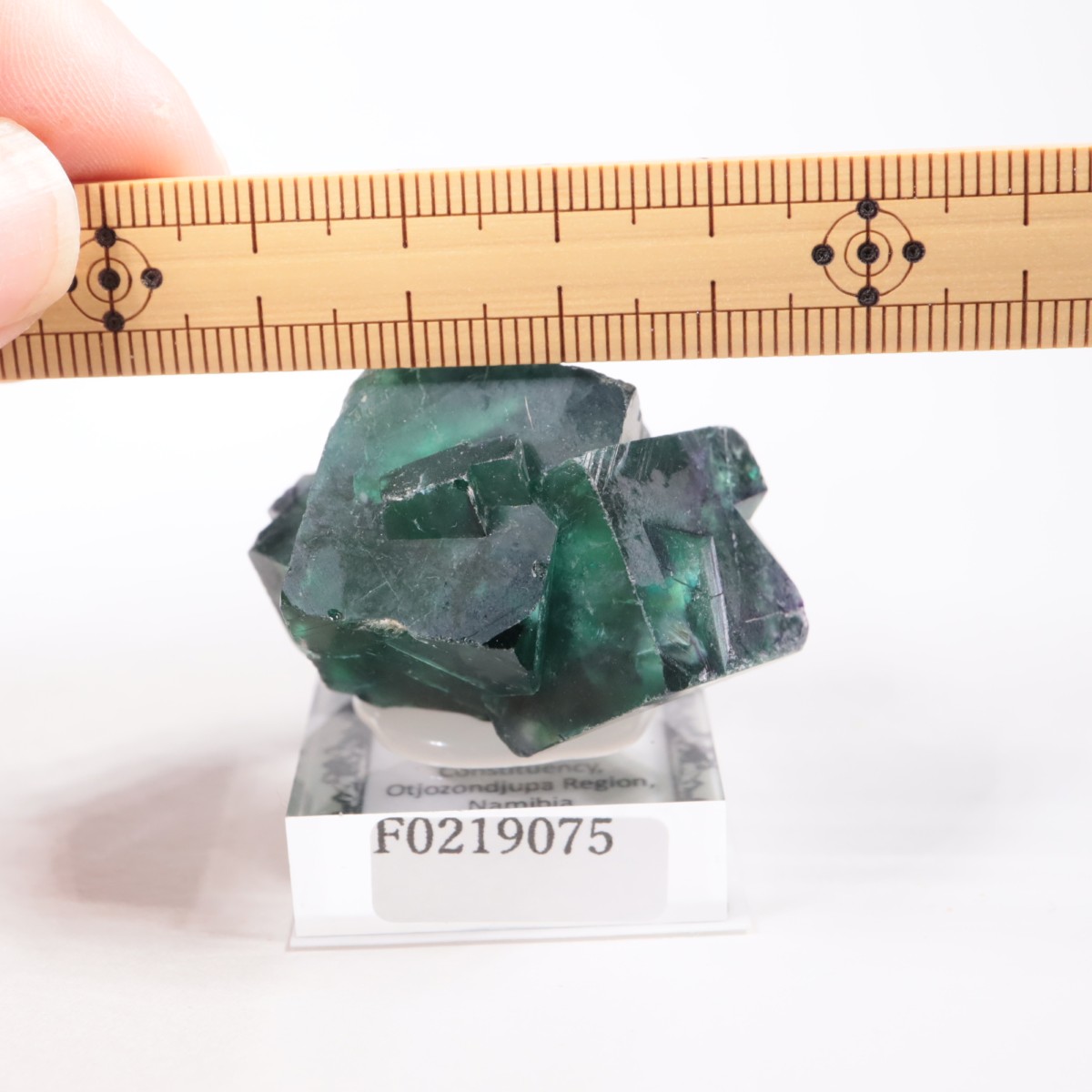 �����륹�ۻ��� �ե����饤��