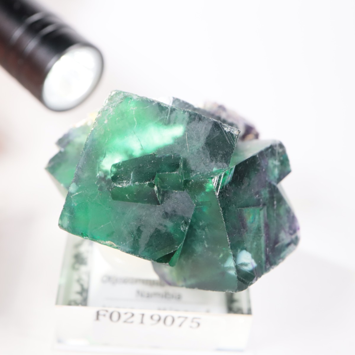 �����륹�ۻ��� �ե����饤��