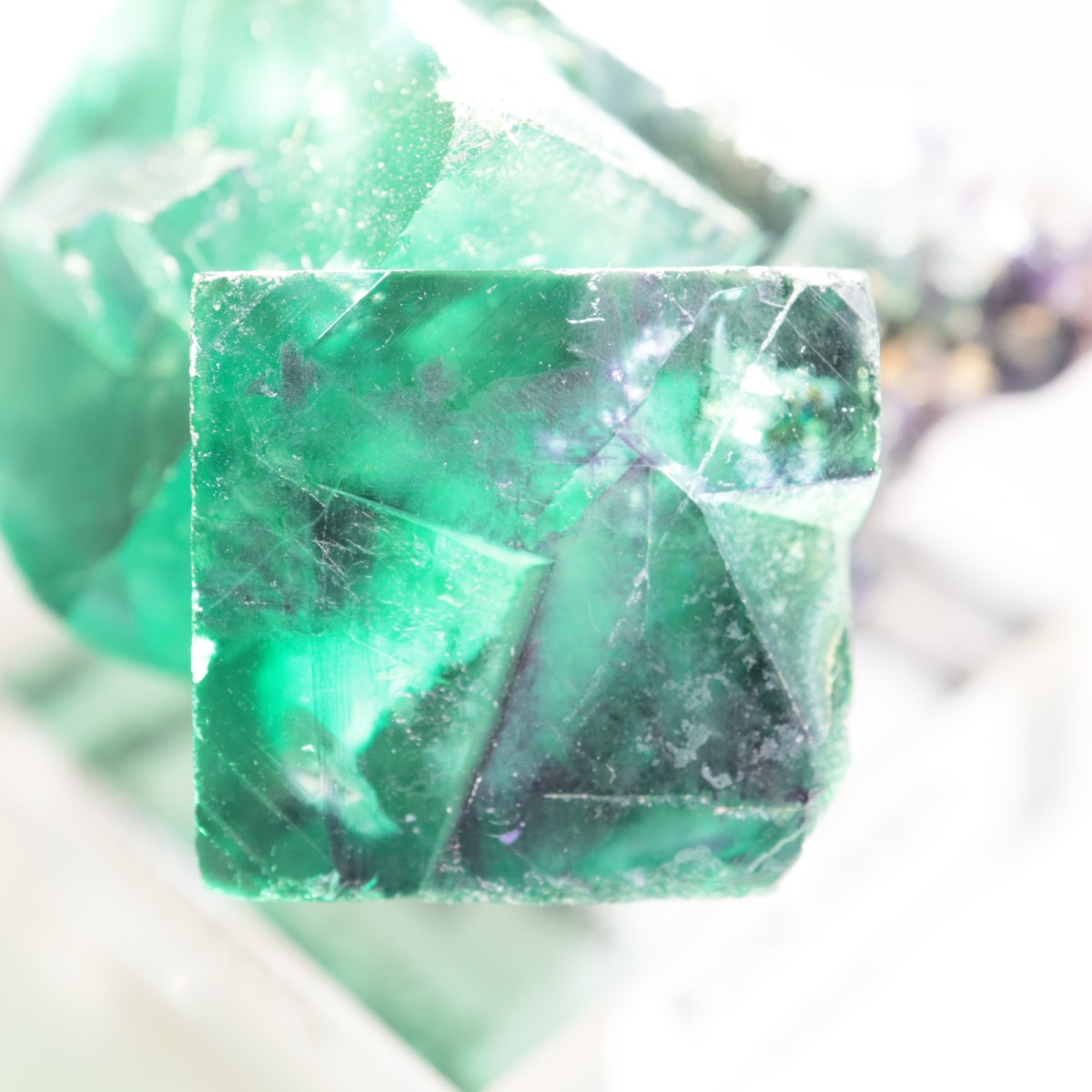 �����륹�ۻ��� �ե����饤��