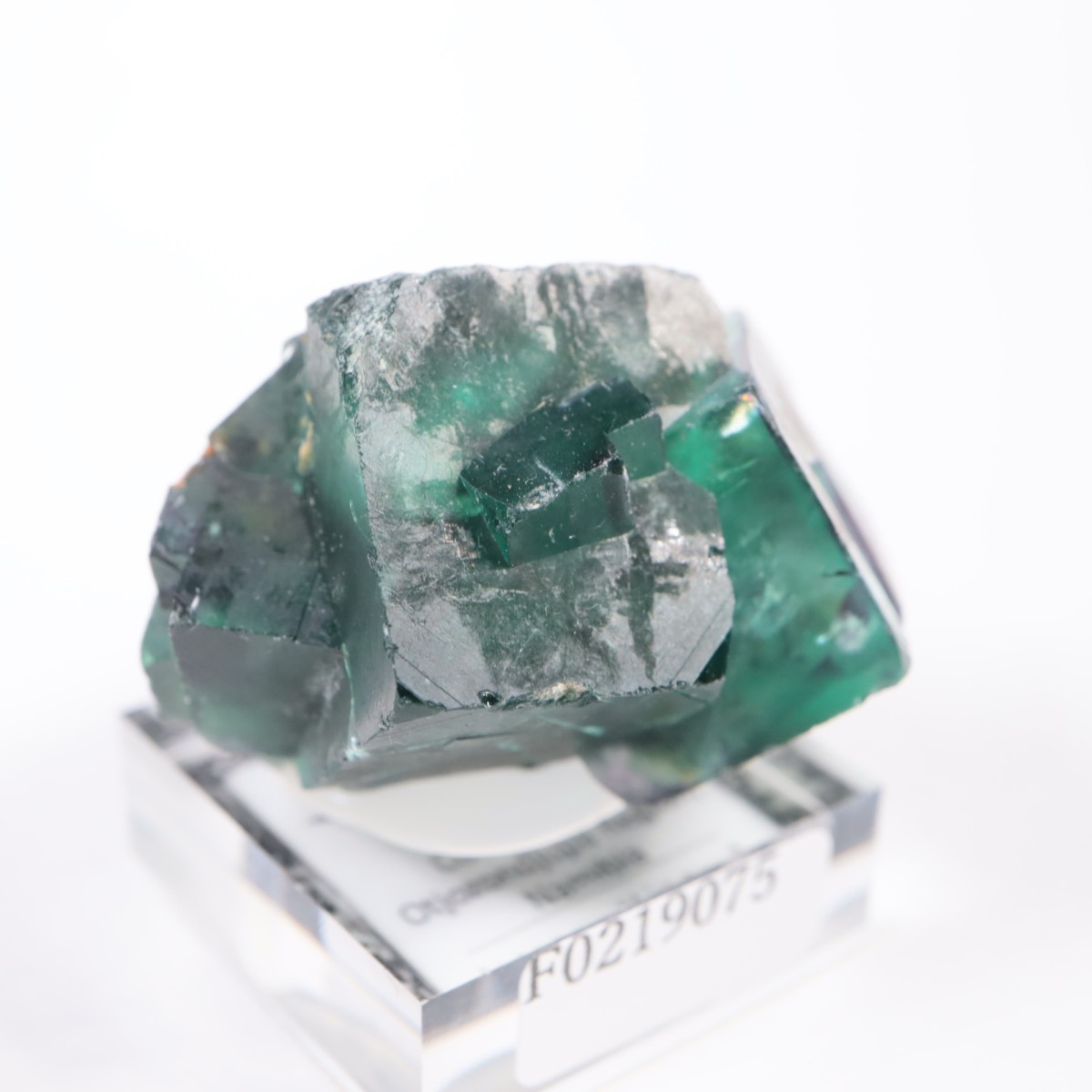 �����륹�ۻ��� �ե����饤��