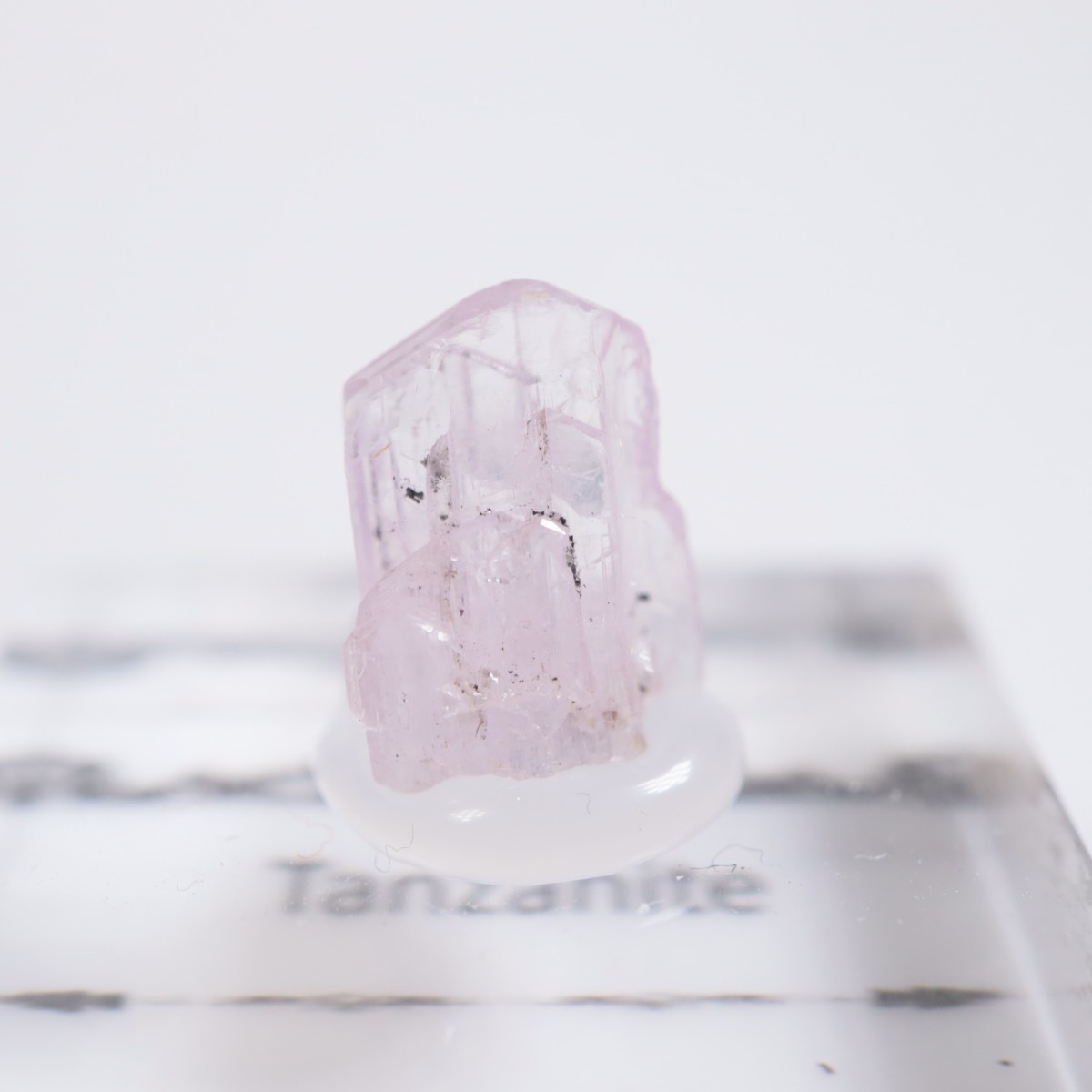 ����˥ҥ륺�� ���󥶥ʥ���