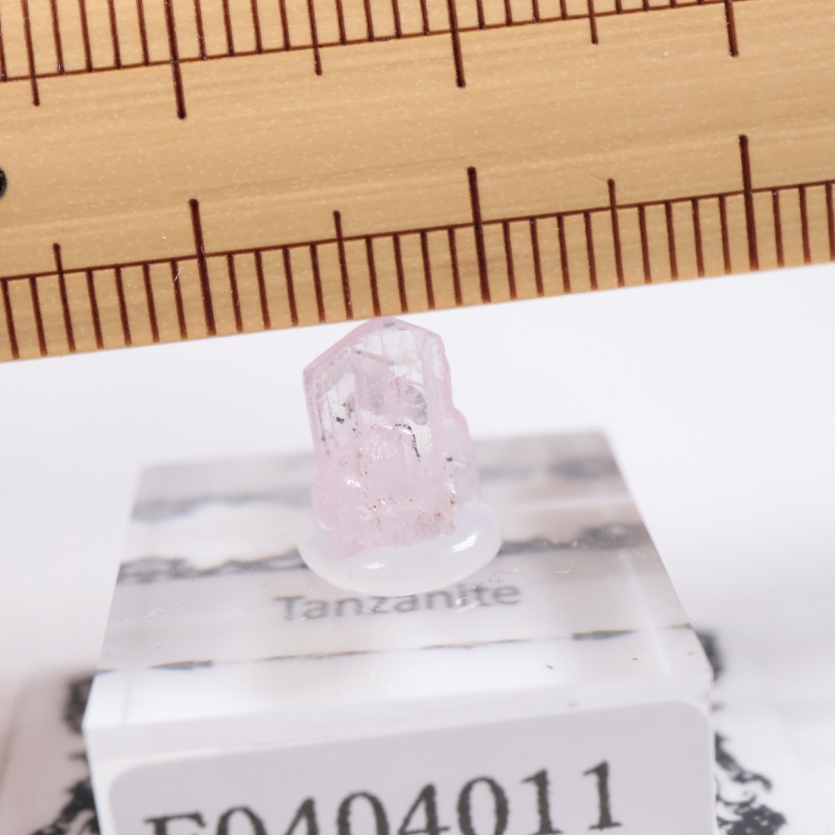 ����˥ҥ륺�� ���󥶥ʥ���