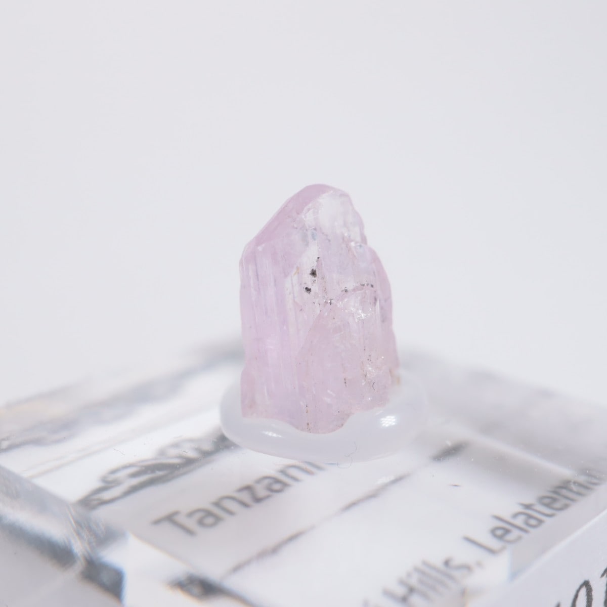 ����˥ҥ륺�� ���󥶥ʥ���