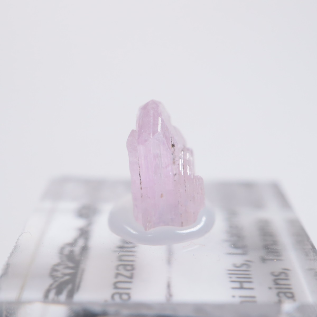 ����˥ҥ륺�� ���󥶥ʥ���