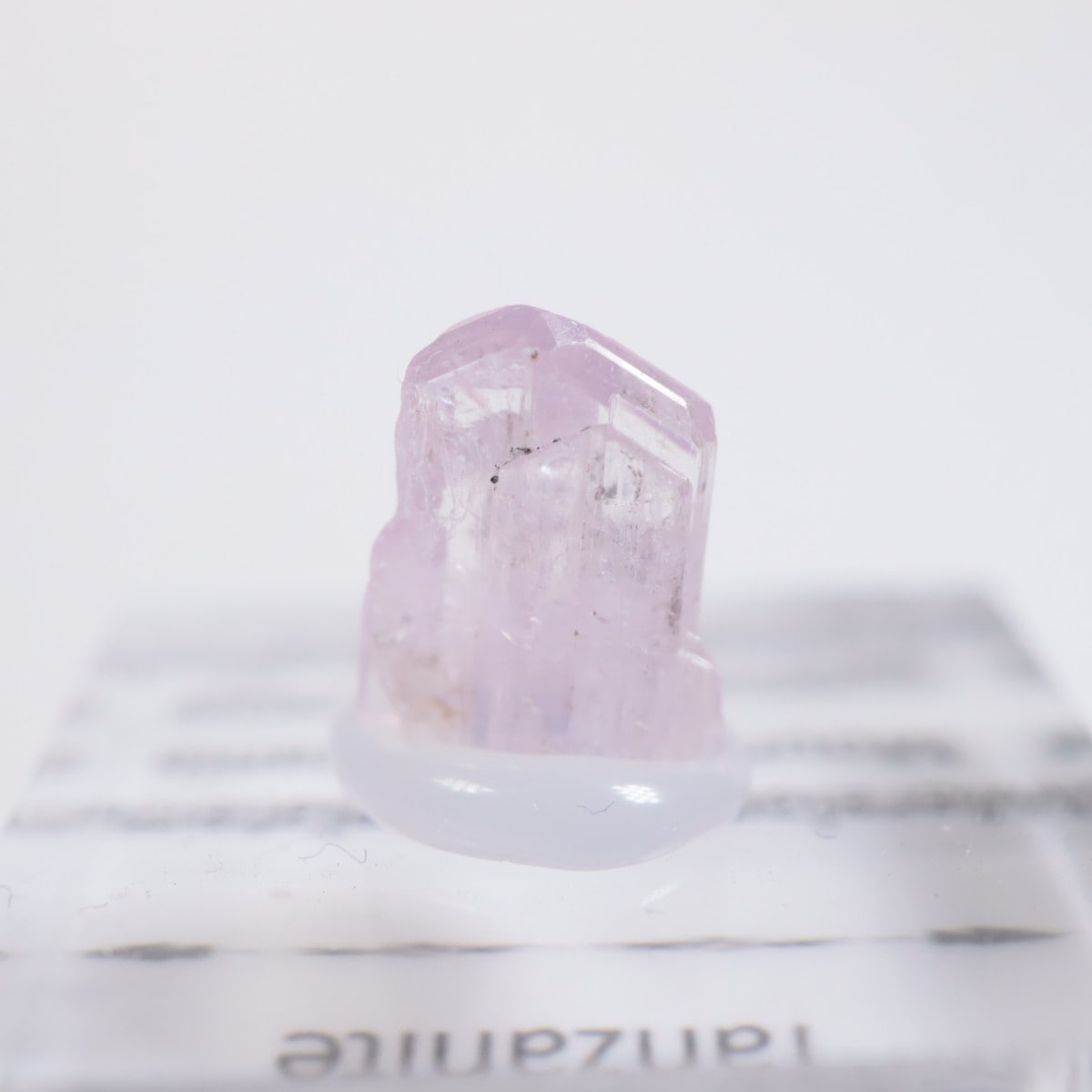 ����˥ҥ륺�� ���󥶥ʥ���