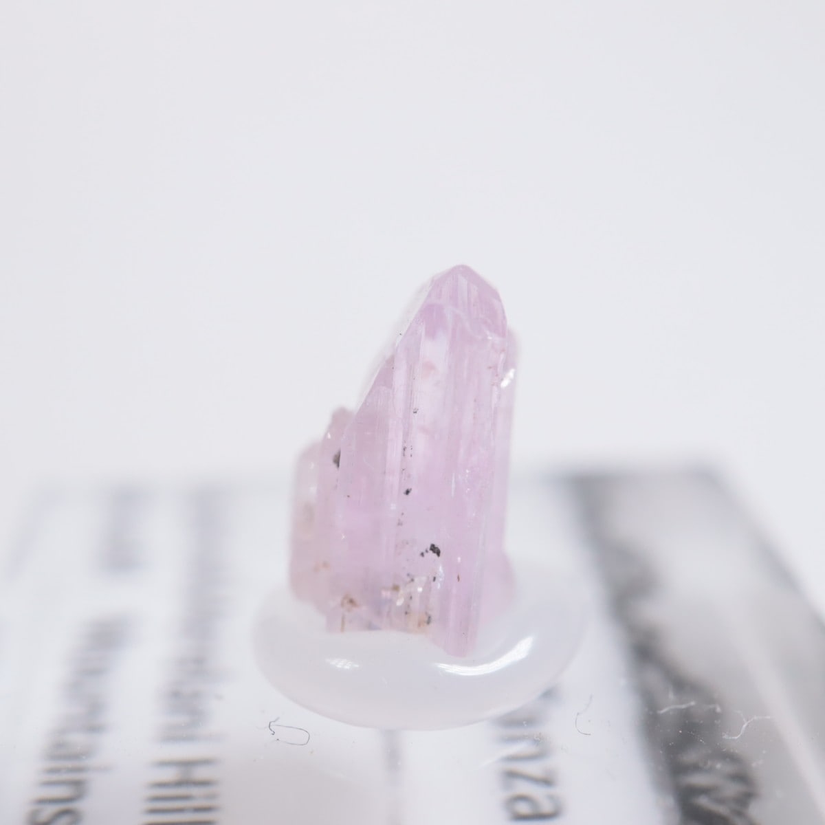 ����˥ҥ륺�� ���󥶥ʥ���