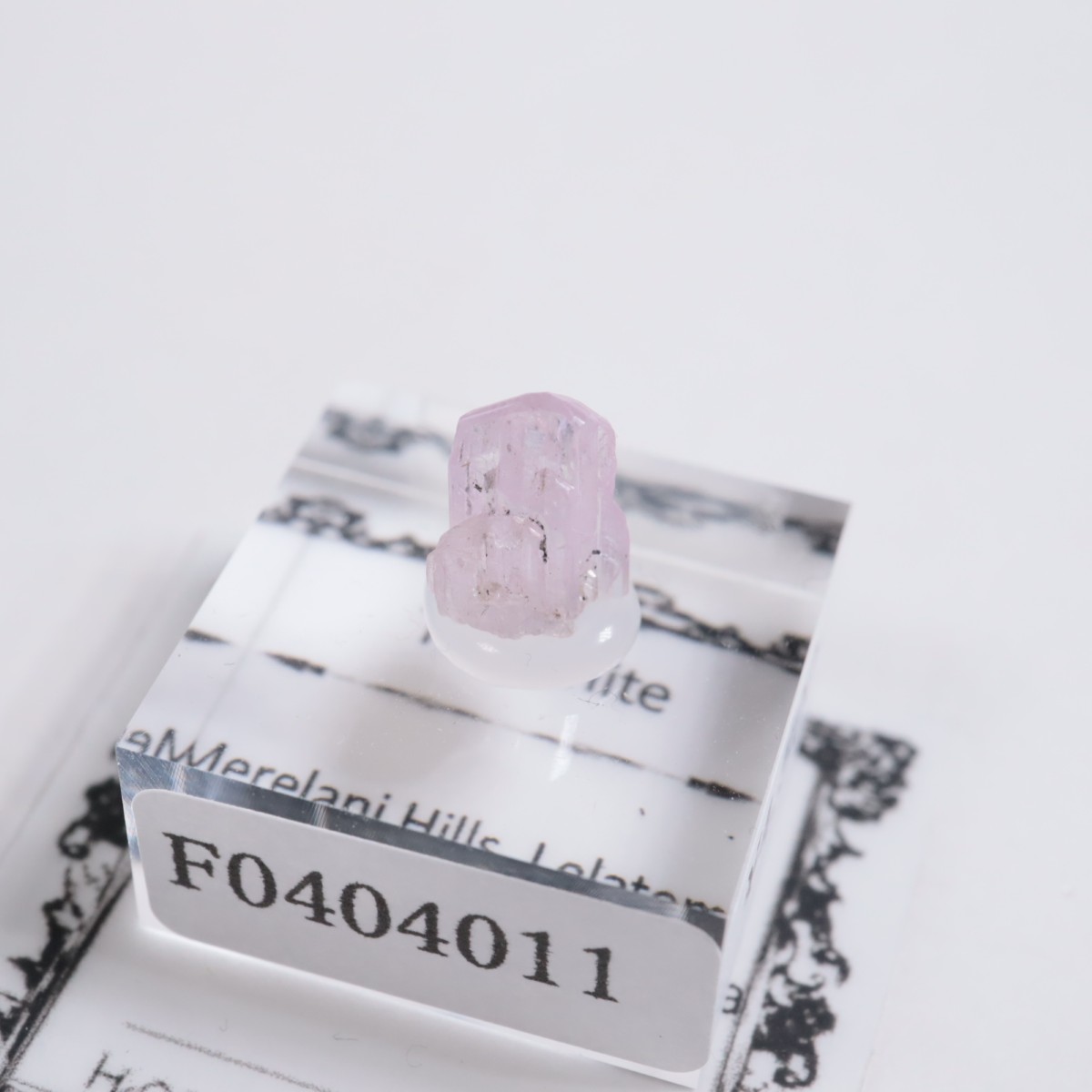 ����˥ҥ륺�� ���󥶥ʥ���