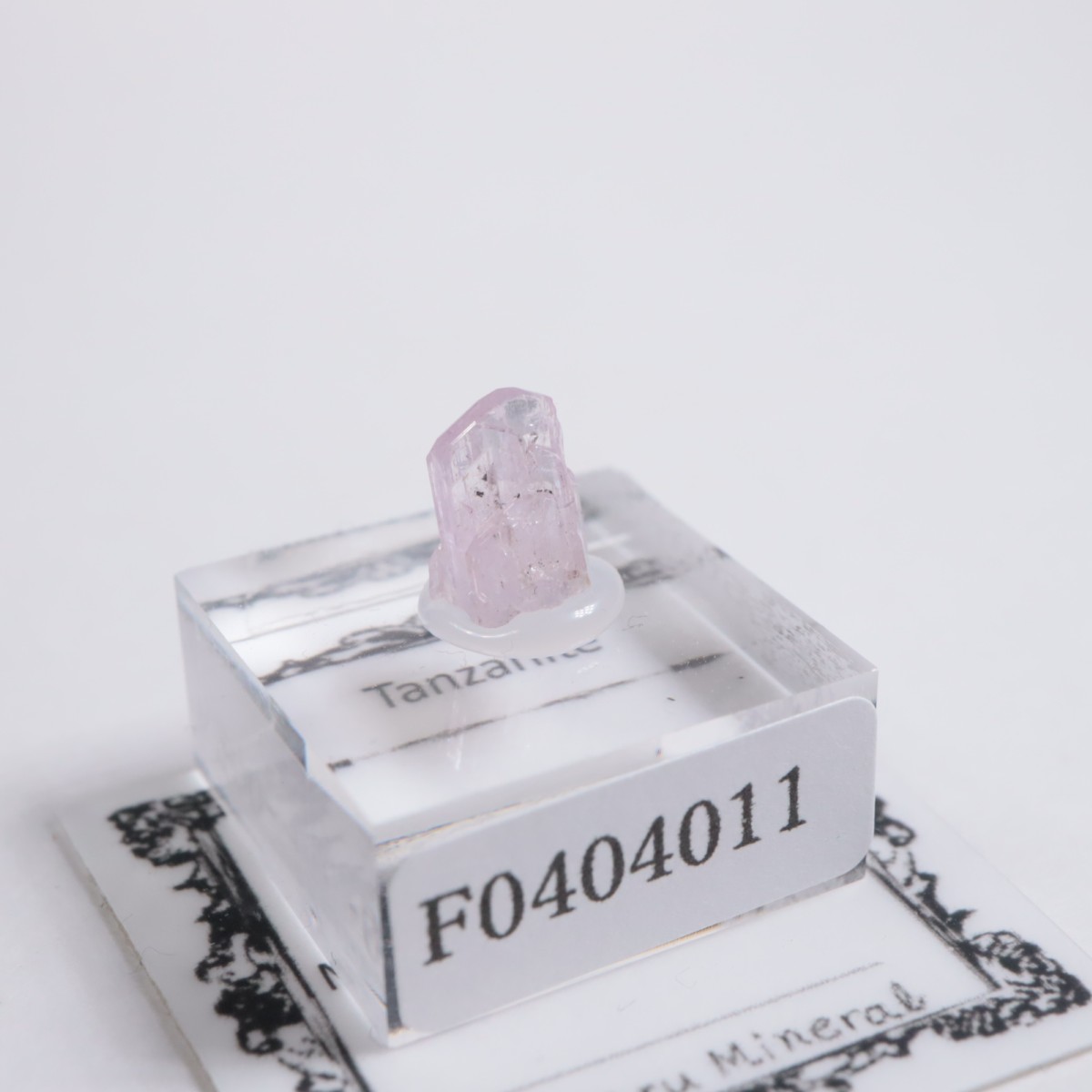 ����˥ҥ륺�� ���󥶥ʥ���