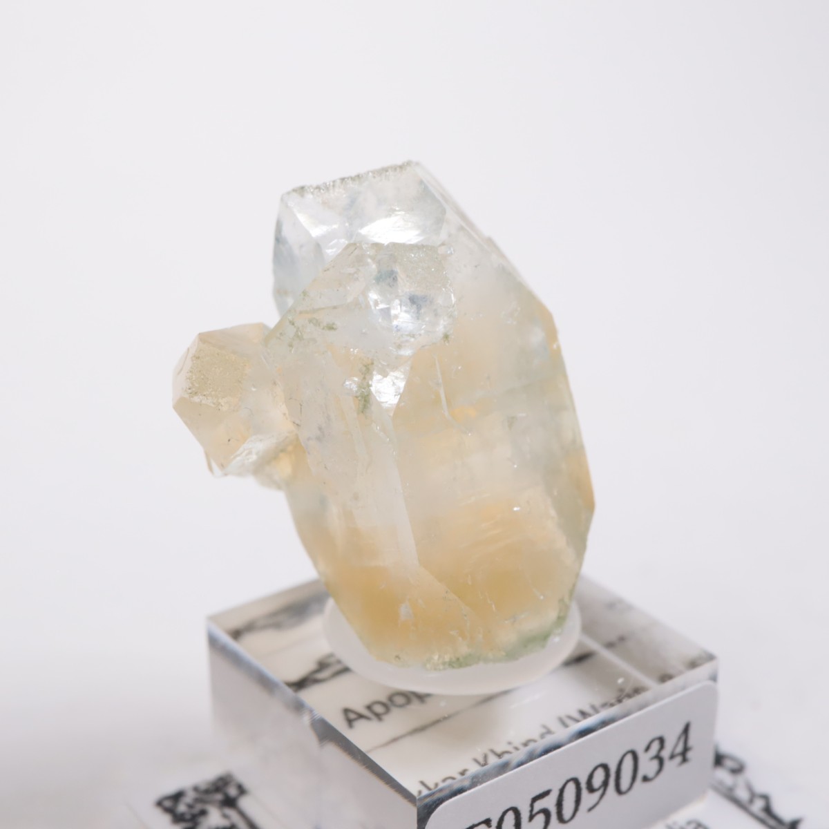 ����ɻ� ���ݥե��饤��