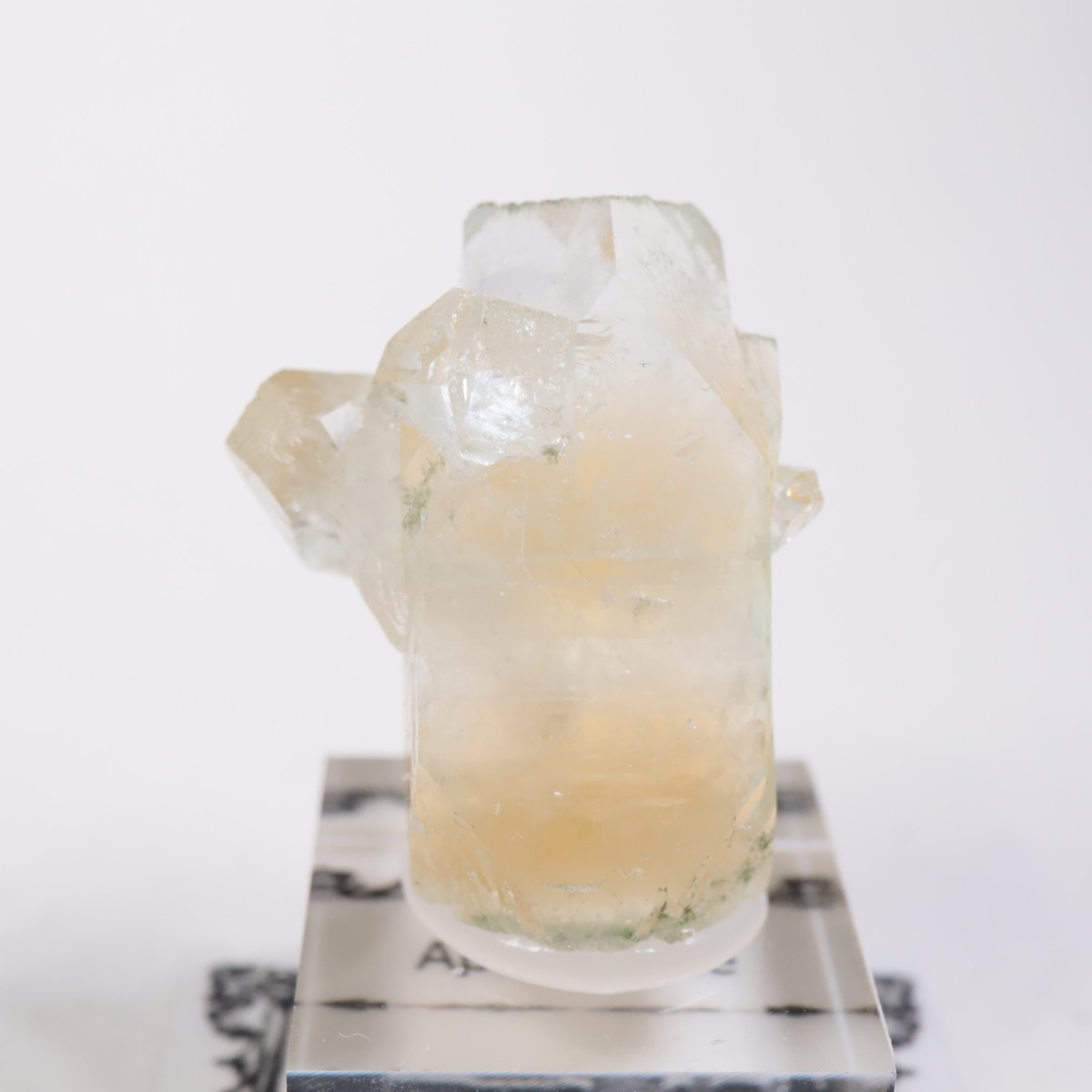 ����ɻ� ���ݥե��饤��