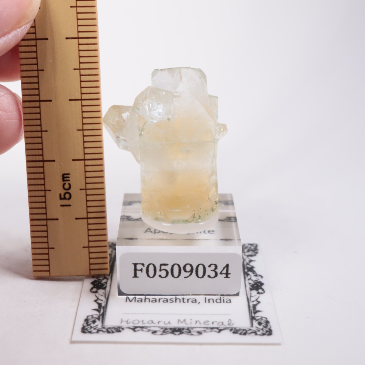 ����ɻ� ���ݥե��饤��