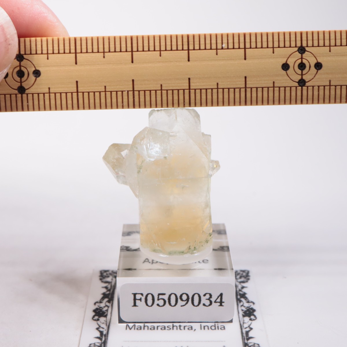 ����ɻ� ���ݥե��饤��