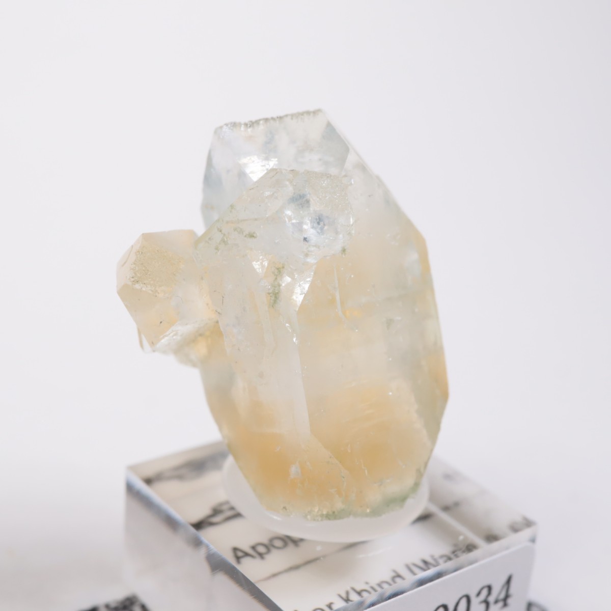 ����ɻ� ���ݥե��饤��