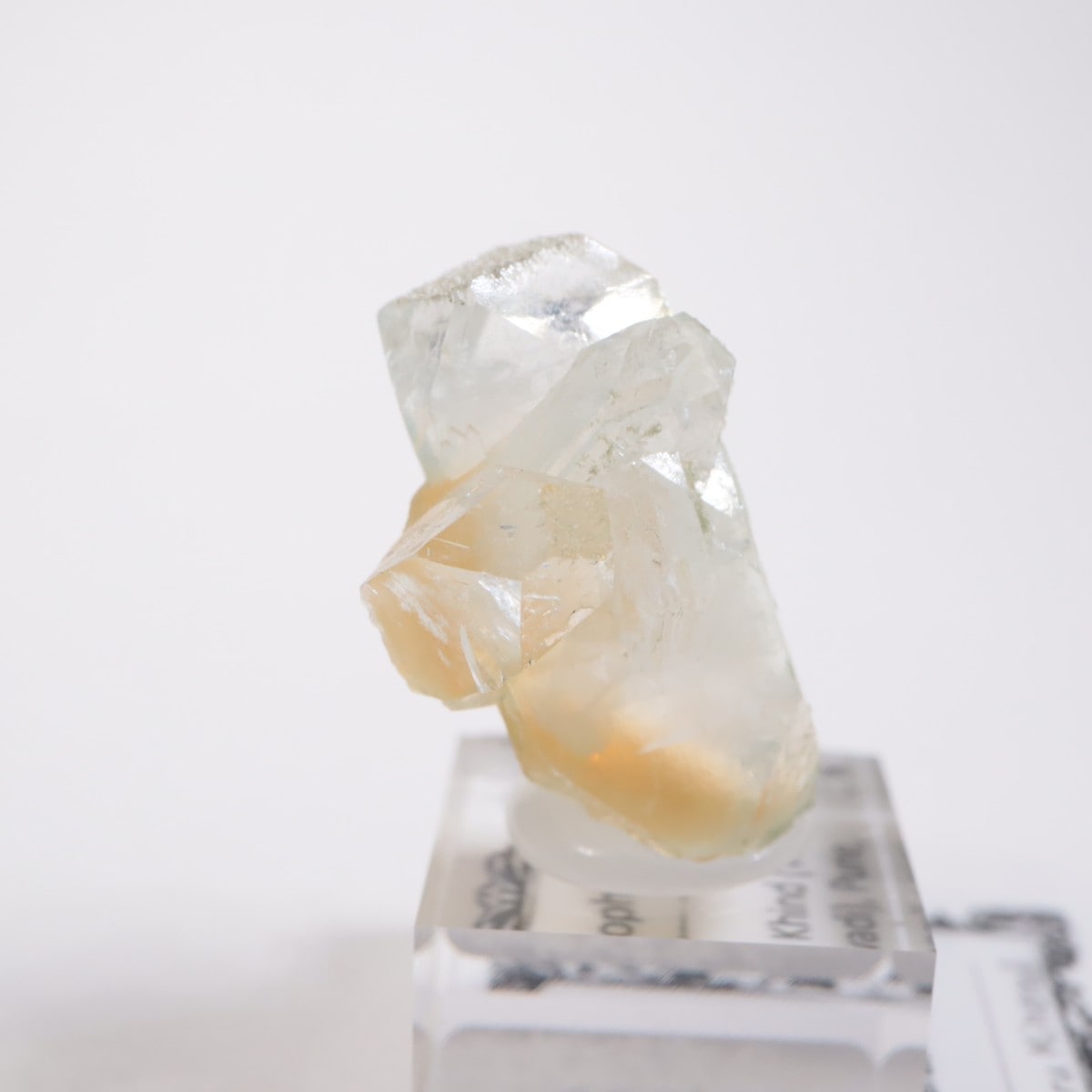 ����ɻ� ���ݥե��饤��