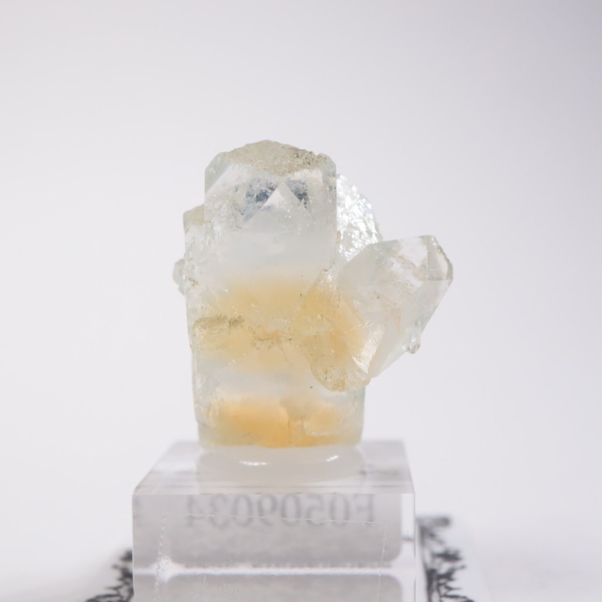 ����ɻ� ���ݥե��饤��