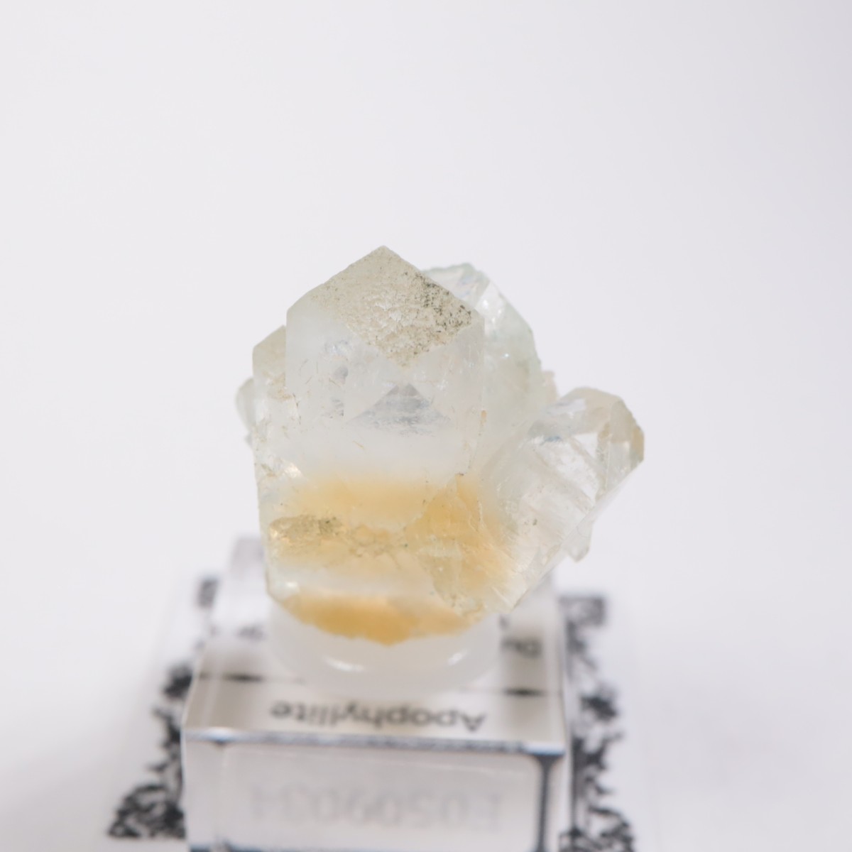 ����ɻ� ���ݥե��饤��