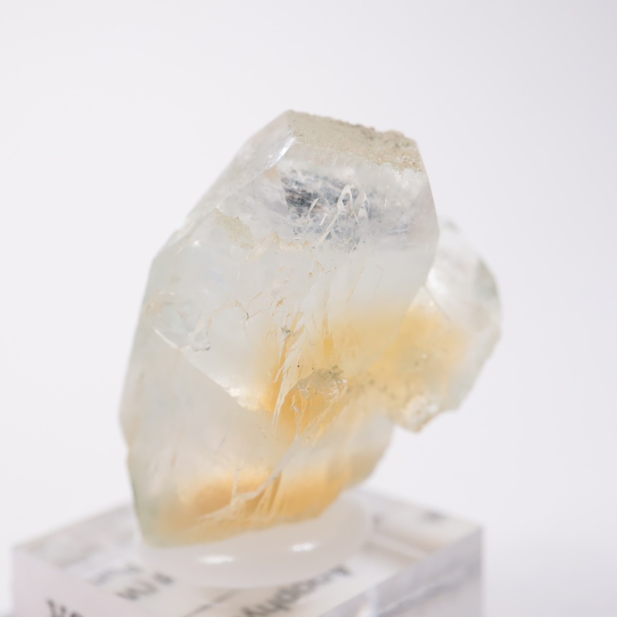 ����ɻ� ���ݥե��饤��