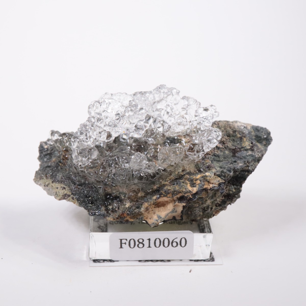 オメルタ　まとめ売り 2_000000010441.jpg?1754823834