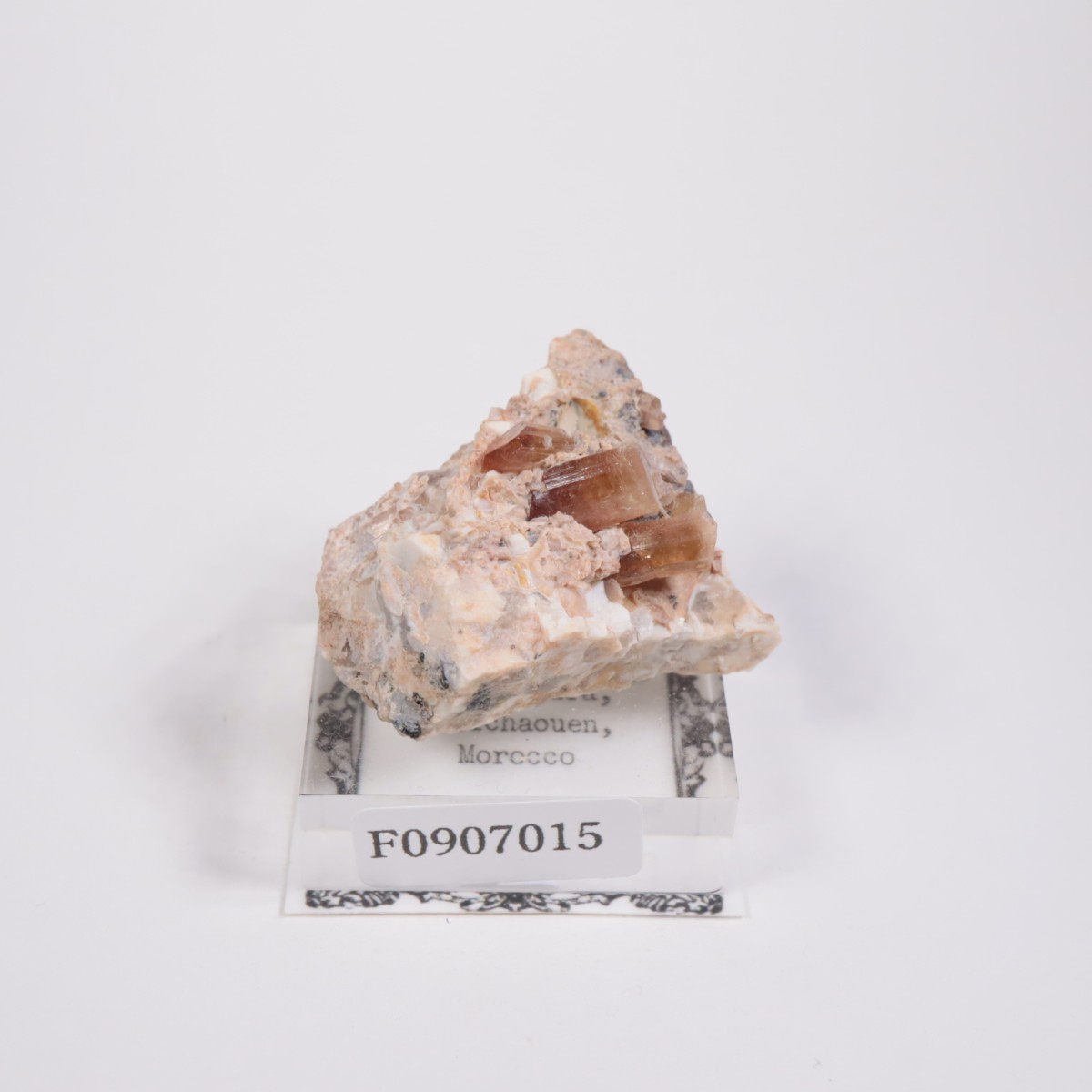 ����å��� �ȥ�ޥ��