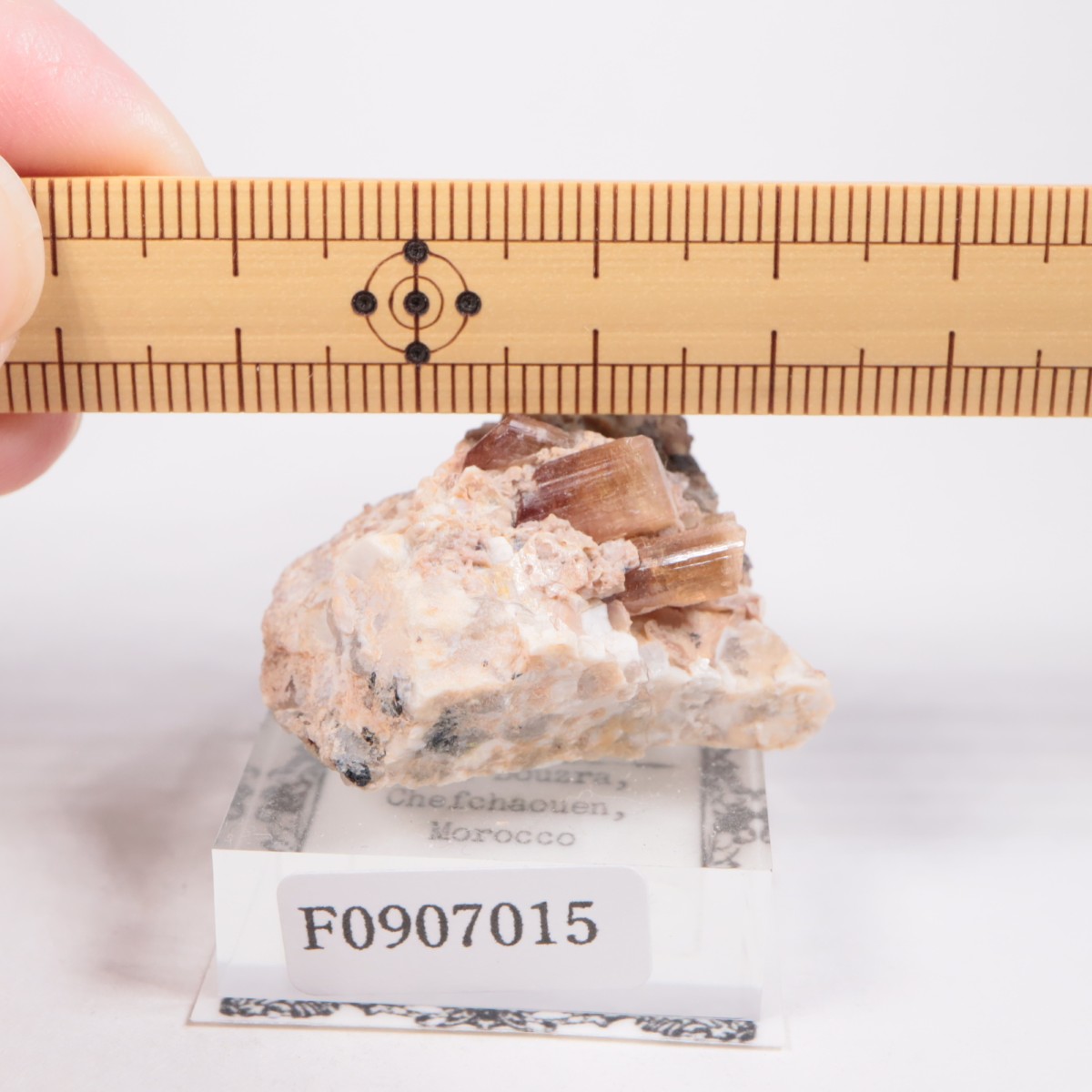 ����å��� �ȥ�ޥ��