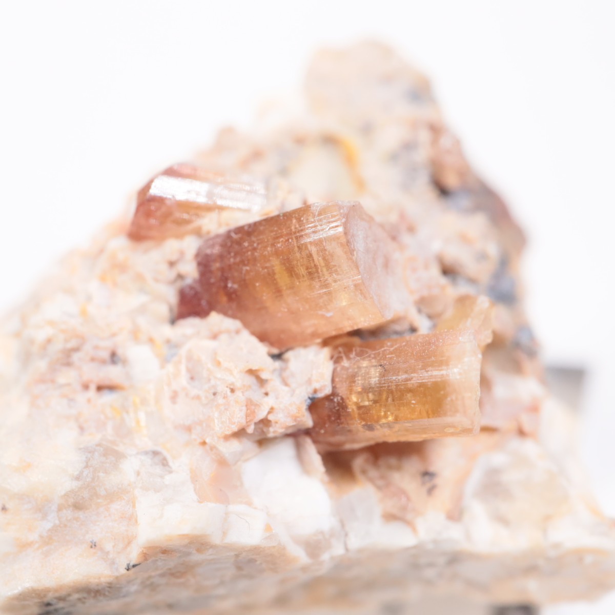 ����å��� �ȥ�ޥ��