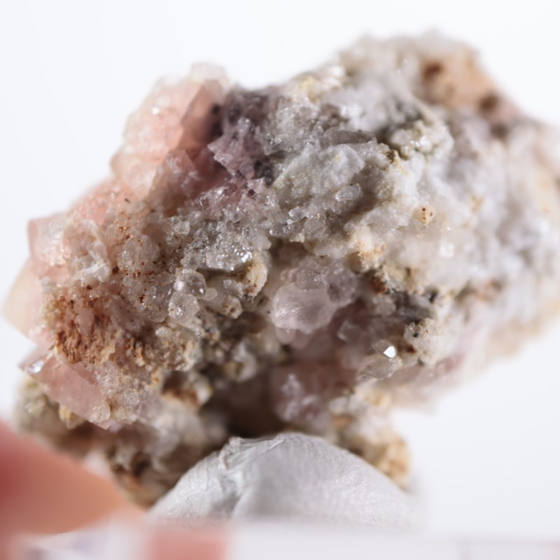 �ե�󥹻����ԥ󥯥ե����饤��