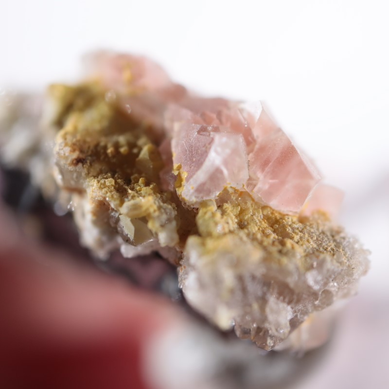 �ե�󥹻����ԥ󥯥ե����饤��