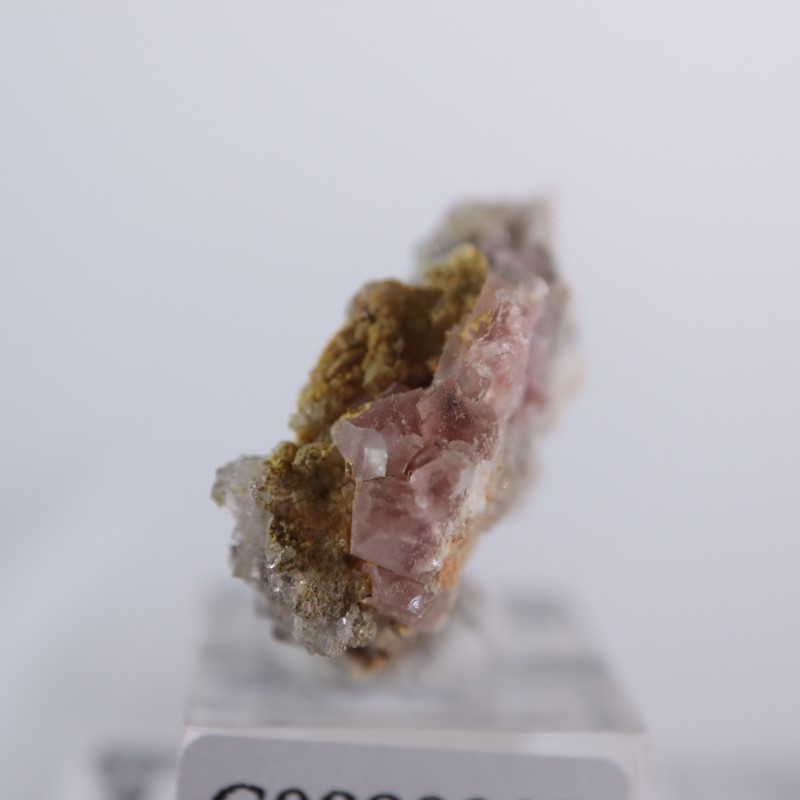 �ե�󥹻����ԥ󥯥ե����饤��