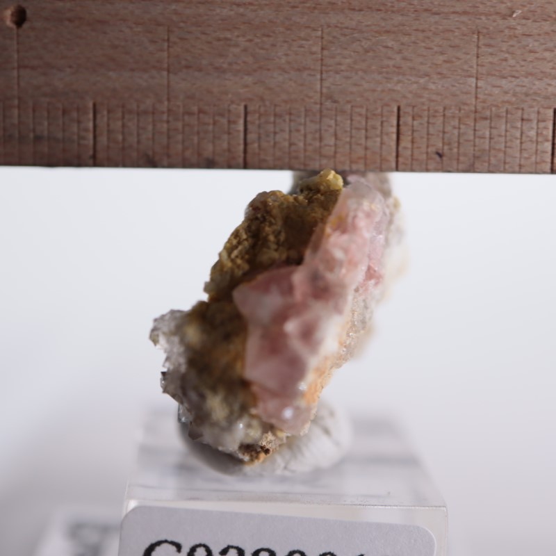 �ե�󥹻����ԥ󥯥ե����饤��