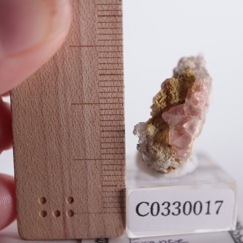 �ե�󥹻����ԥ󥯥ե����饤��