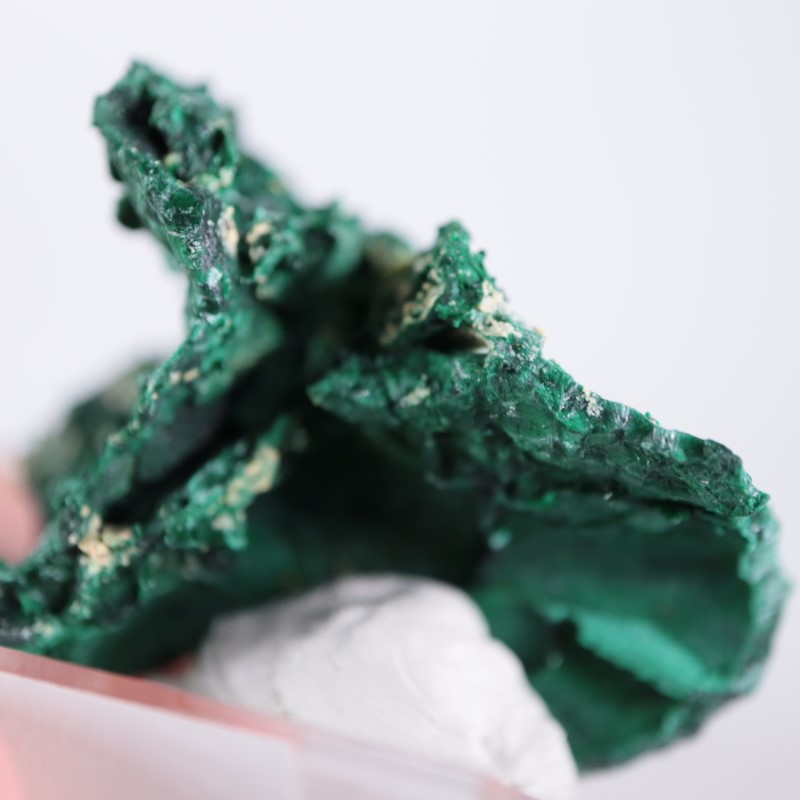 �������ȥ�ꥢ�����ޥ饫����