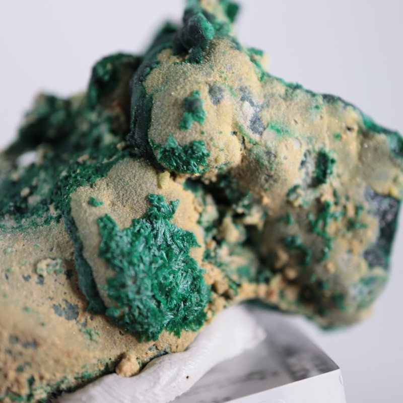 �������ȥ�ꥢ�����ޥ饫����