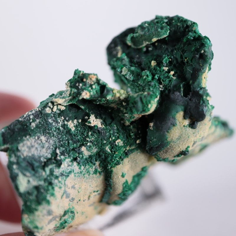 �������ȥ�ꥢ�����ޥ饫����