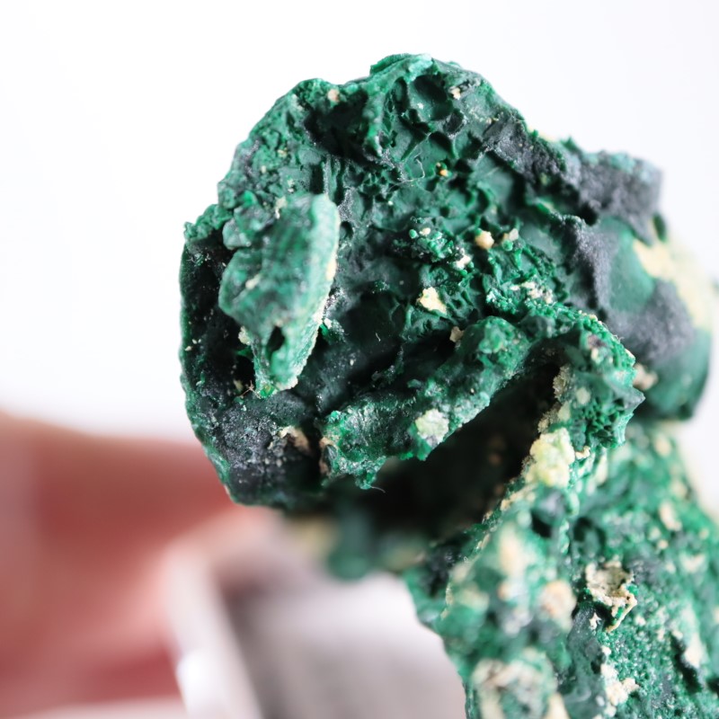 �������ȥ�ꥢ�����ޥ饫����