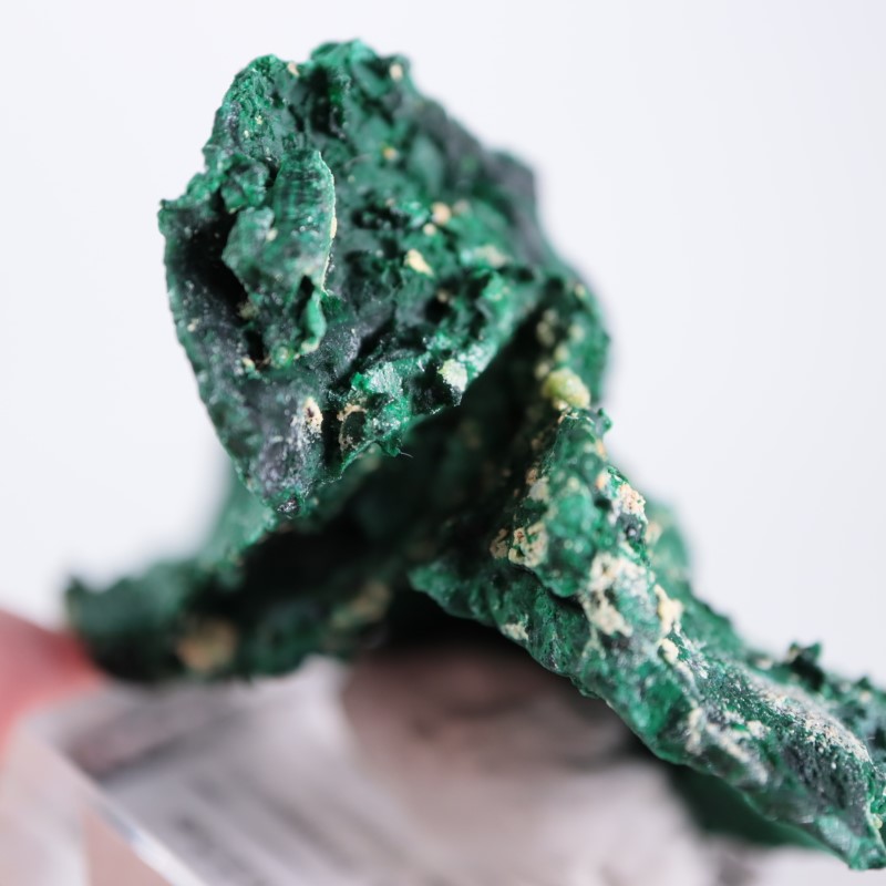 �������ȥ�ꥢ�����ޥ饫����