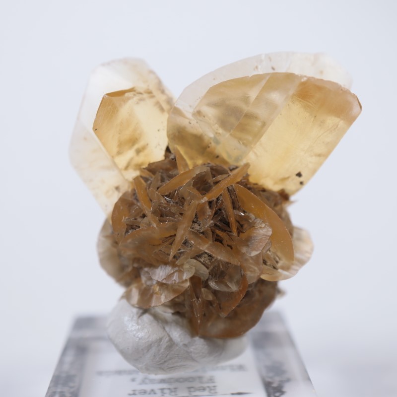 ���ʥ��������ץ���