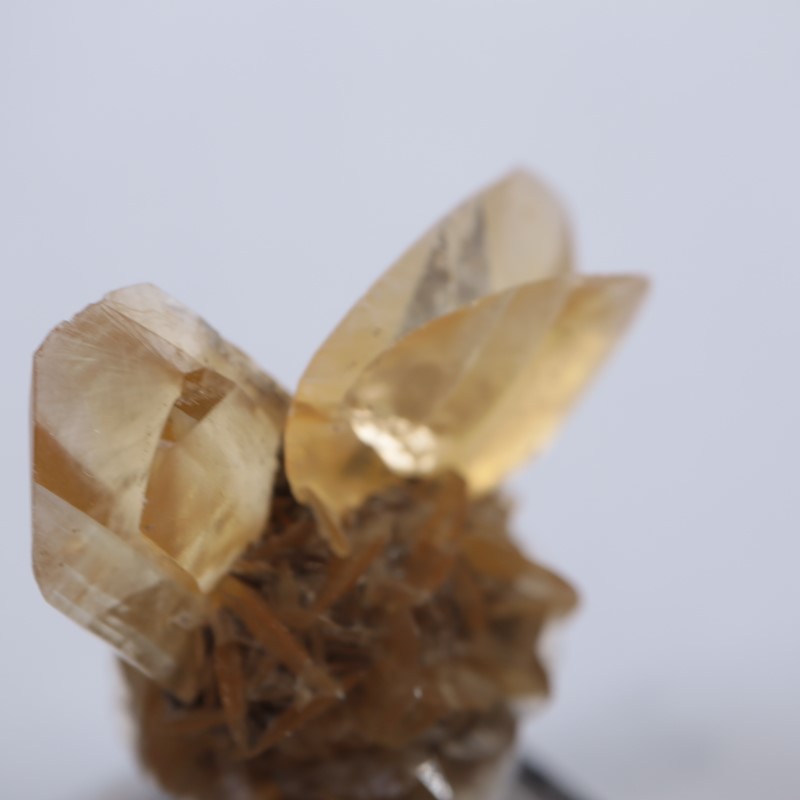 ���ʥ��������ץ���