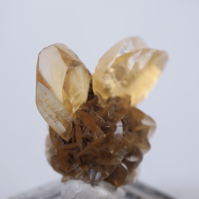 ���ʥ��������ץ���